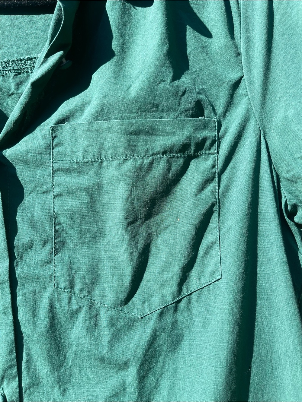 Sugarlips Short-Sleeve Button-Down Shirt in Green - Picture 4 of 10